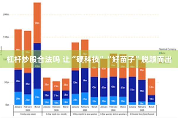 杠杆炒股合法吗 让“硬科技”“好苗子”脱颖而出