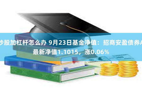 炒股加杠杆怎么办 9月23日基金净值：招商安盈债券A最新净值1.1015，涨0.06%