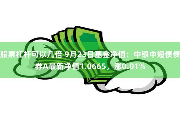 股票杠杆可以几倍 9月23日基金净值：中银中短债债券A最新净值1.0665，涨0.01%