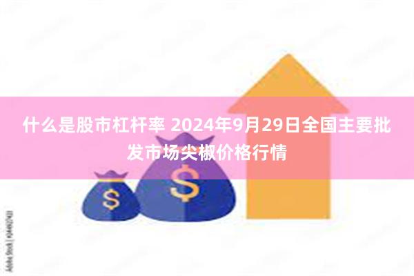 什么是股市杠杆率 2024年9月29日全国主要批发市场尖椒价格行情