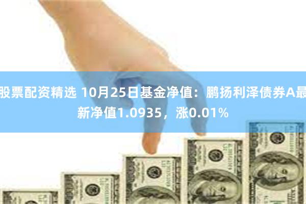 股票配资精选 10月25日基金净值：鹏扬利泽债券A最新净值1.0935，涨0.01%