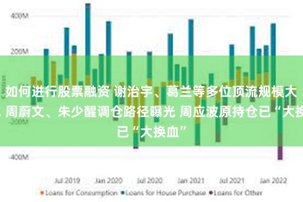 如何进行股票融资 谢治宇、葛兰等多位顶流规模大缩水 周蔚文、朱少醒调仓路径曝光 周应波原持仓已“大换血”