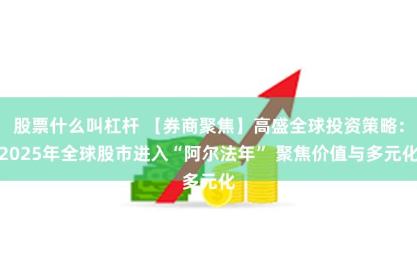 股票什么叫杠杆 【券商聚焦】高盛全球投资策略：2025年全球股市进入“阿尔法年” 聚焦价值与多元化