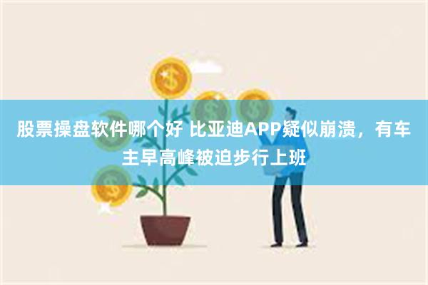 股票操盘软件哪个好 比亚迪APP疑似崩溃，有车主早高峰被迫步行上班