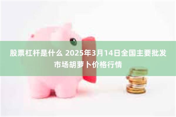 股票杠杆是什么 2025年3月14日全国主要批发市场胡萝卜价格行情