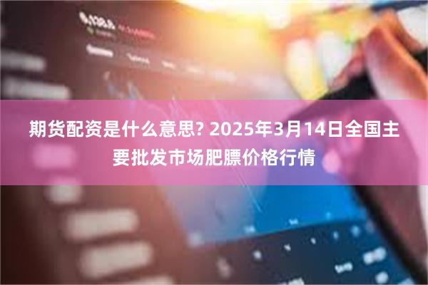 期货配资是什么意思? 2025年3月14日全国主要批发市场肥膘价格行情